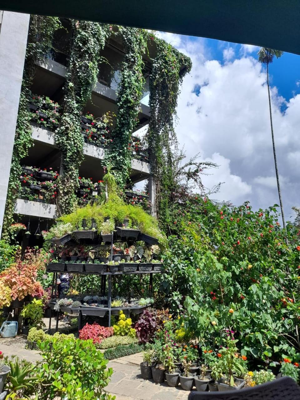 Ella Flower Garden Resort Екстериор снимка