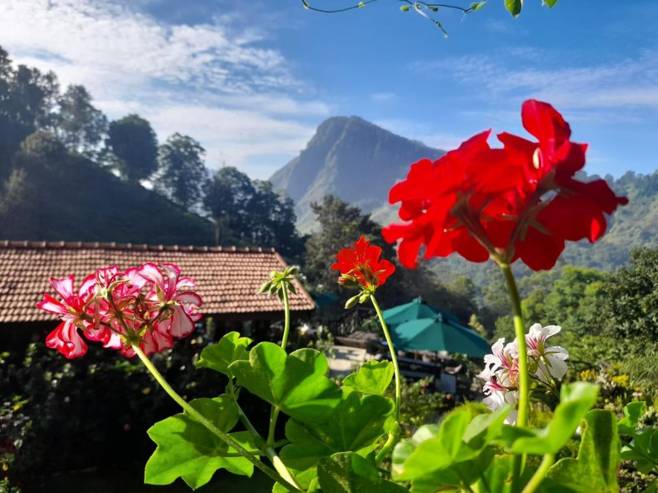 Ella Flower Garden Resort Екстериор снимка
